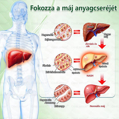 Magyar hivatalos bol 👨‍⚕️ 𝐆𝐞𝐞𝐋𝐞𝐦𝐨𝐧® 8 az 1-ben karcsúsító nano mikrotűs tapasz 🇭🇺 Napi egyszeri használat ✅ 7 napon belül látható eredmény – Alkalmas elhízás, szív- és érrendszeri problémák, cukorbetegség és ízületi problémák kezelésére.