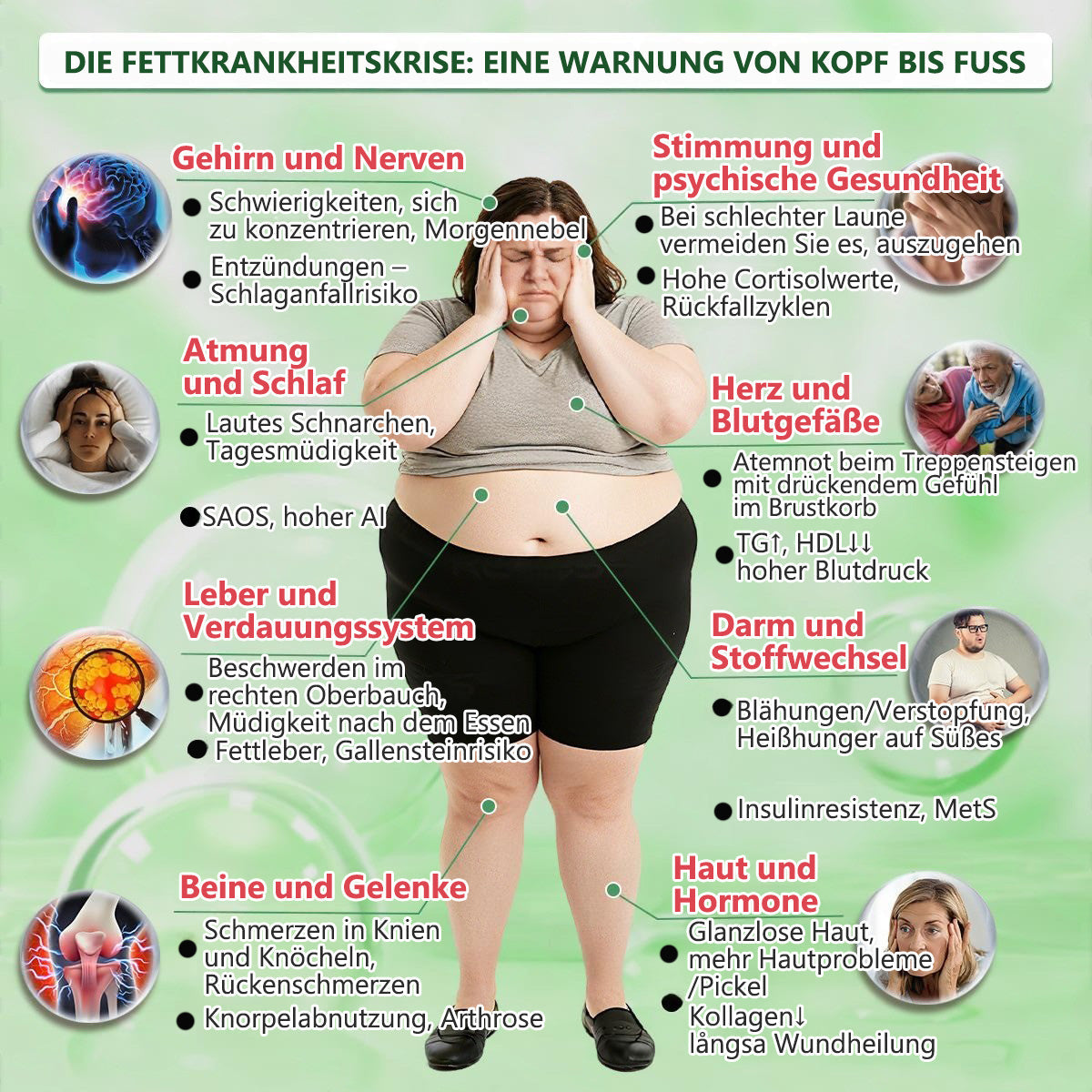 Offizieller deutscher Shop 🇩🇪 | Geelemon® Advanced Nano System einmal täglich pflege